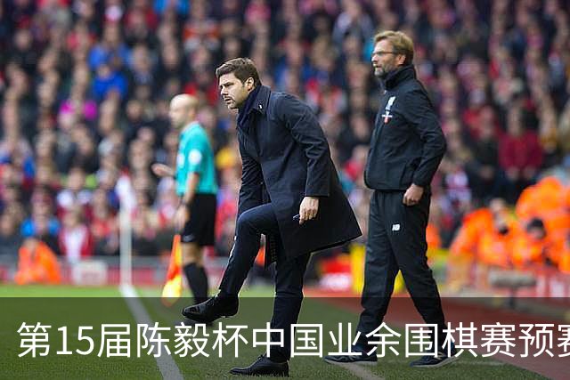第15届陈毅杯中国业余围棋赛预赛收官 本赛阵容出炉